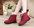 Warm Fur Plush Women Winter Boots