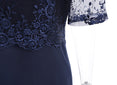 Elegant Lace Female Large Size Evening Party Dresses