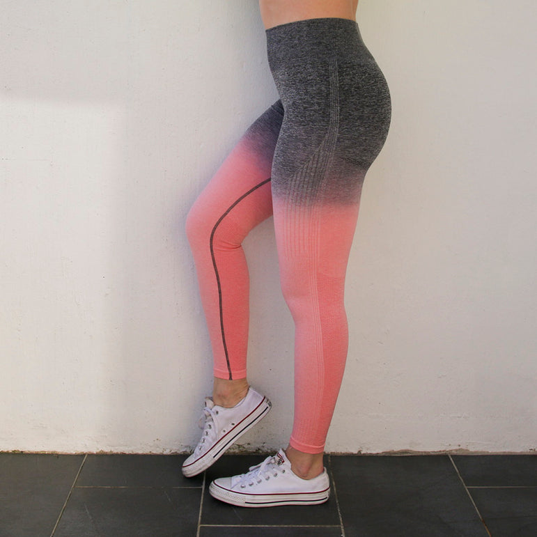 Ombre Seamless High Waisted Yoga Pants