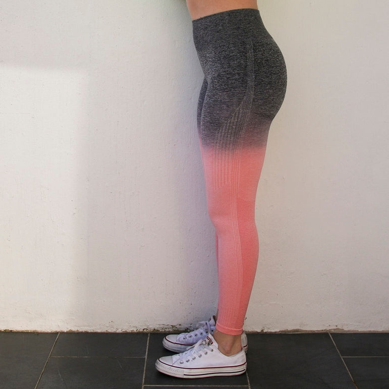 Ombre Seamless High Waisted Yoga Pants