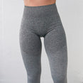 Ombre Seamless High Waisted Yoga Pants