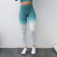 Ombre Seamless High Waisted Yoga Pants