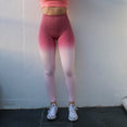 Ombre Seamless High Waisted Yoga Pants