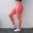 Ombre Seamless High Waisted Yoga Pants