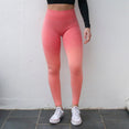 Ombre Seamless High Waisted Yoga Pants