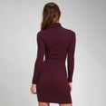 Elegant stand collar long sleeve solid dress