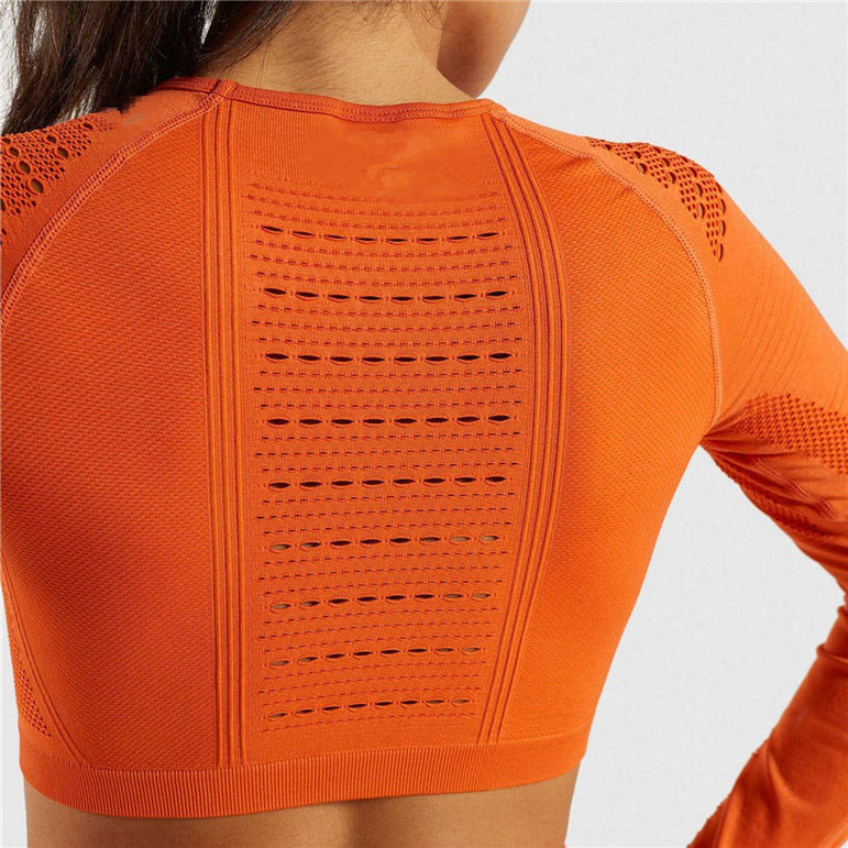 Ombre Seamless Women Sport Gym Suit