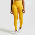 Ombre Seamless Women Sport Gym Suit