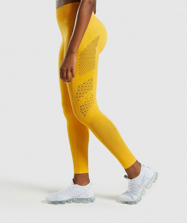 Ombre Seamless Women Sport Gym Suit