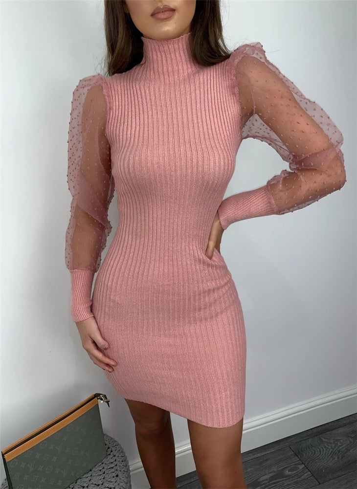 Elegant Mesh Sheer Long Sleeve Slim Stretch Dress