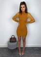 Elegant Mesh Sheer Long Sleeve Slim Stretch Dress