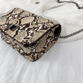 Luxury Women Small Square Crossbody Bags