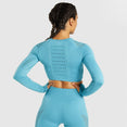 Ombre Seamless Women Sport Gym Suit