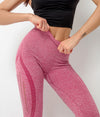 Seamless Tummy Control Yoga Pants