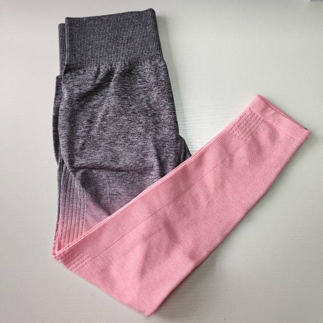 Ombre Seamless High Waisted Yoga Pants