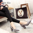 Female Pointed Lady Sexy Heels Shoes