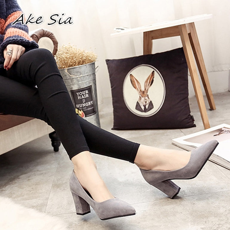 Female Pointed Lady Sexy Heels Shoes