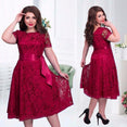 Lace Elegant Lady Short Sleeve Casual Dress