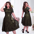 Lace Elegant Lady Short Sleeve Casual Dress