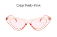 Cat Eye Shade Women Fashion Sunglasses