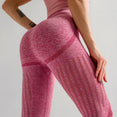 Seamless Tummy Control Yoga Pants