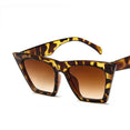 Polarized Cat Eyes Colorful Sunglasses