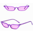 Women Vintage Cat Eye Sunglasses