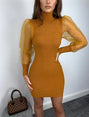 Elegant Mesh Sheer Long Sleeve Slim Stretch Dress